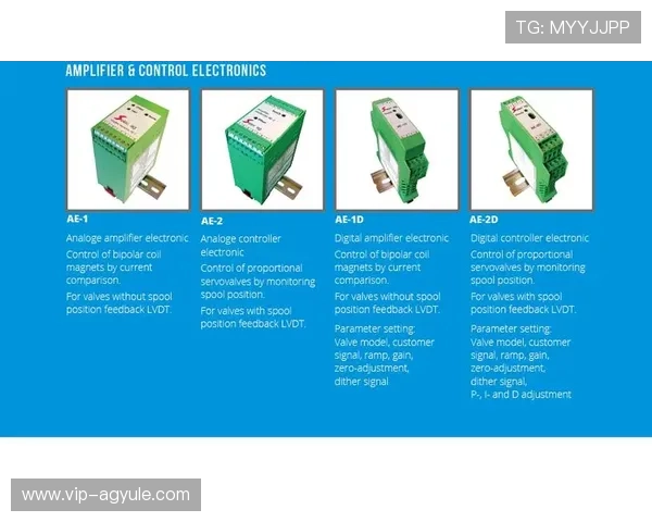 AG电子网站的支付方式多样化及快速提现流程详解 AG电子网站的支付方式多样化及快速提现流程详解